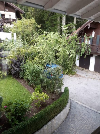 Rimsting Baumsturz 1