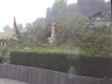 Rimsting Baumsturz 2