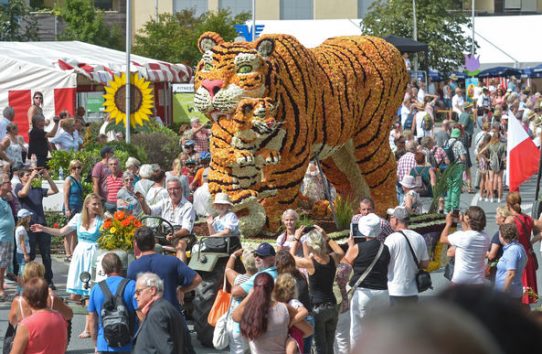 20. Ebbser Blumenkosro 2017