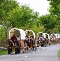 Titanen on Tour - Planwagentreck