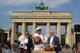 Vor dem Brandenburger Tor