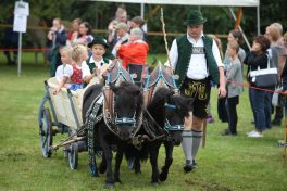 Bad Aiblinger Rosstag (2)