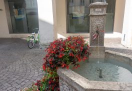 Bilder Brixen (5)
