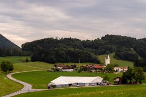 Rossholzen-Festzelt-1006475