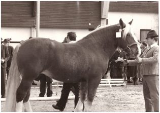 1980 - Foto Czerny Hugo M.