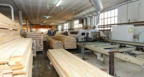 HZB_Zeitung_Silvania-9