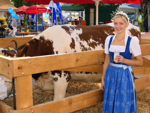 P013Schmankerlstraße