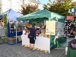 P015Schmankerlstraße