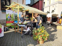 P016Schmankerlstraße