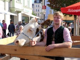 P063Schmankerlstraße