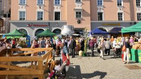 P100Schmankerlstraße