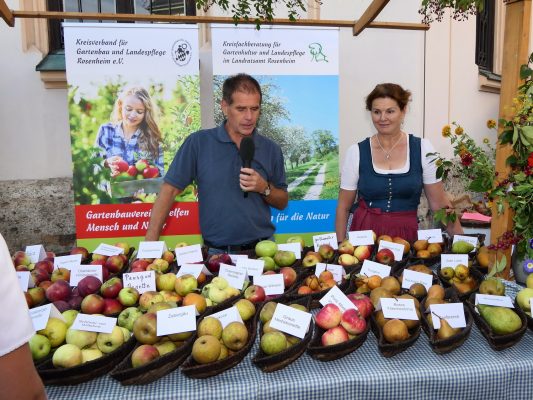 P138Schmankerlstraße