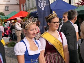 P31SchmankerlstraßeRosenheim