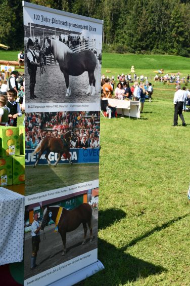 kl-Kubi_180916_Prien_Pferdetag (18)