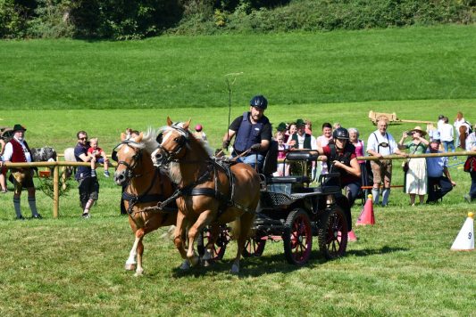 kl-Kubi_180916_Prien_Pferdetag (2)