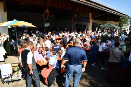 kl-Kubi_180916_Prien_Pferdetag (20)