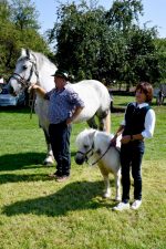 kl-Kubi_180916_Prien_Pferdetag (26)