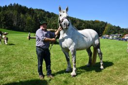 kl-Kubi_180916_Prien_Pferdetag (29)