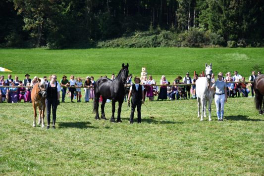 kl-Kubi_180916_Prien_Pferdetag (41)