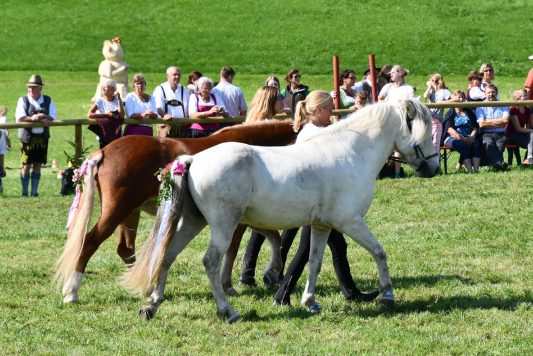 kl-Kubi_180916_Prien_Pferdetag (48)