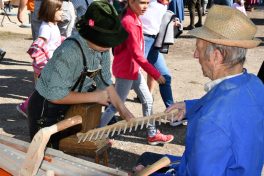 kl-Kubi_180916_Prien_Pferdetag (5)