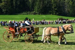 kl-Kubi_180916_Prien_Pferdetag (51)