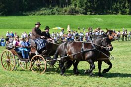 kl-Kubi_180916_Prien_Pferdetag (52)