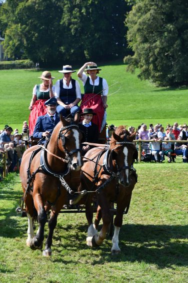kl-Kubi_180916_Prien_Pferdetag (56)