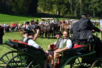 kl-Kubi_180916_Prien_Pferdetag (57)