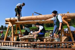 kl-Kubi_180916_Prien_Pferdetag (65)