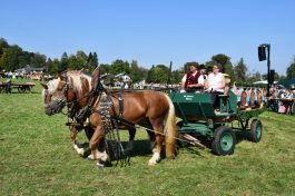 kl-Kubi_180916_Prien_Pferdetag (66)