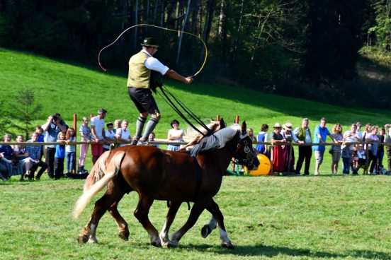 kl-Kubi_180916_Prien_Pferdetag (74)