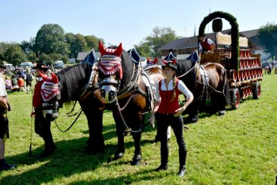 kl-Kubi_180916_Prien_Pferdetag (75)