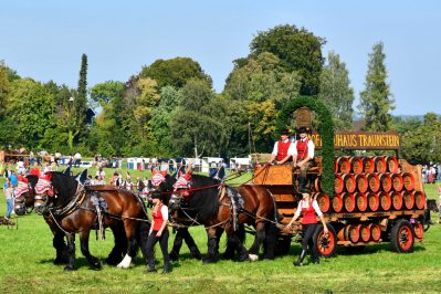 kl-Kubi_180916_Prien_Pferdetag (76)