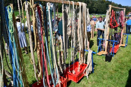 kl-Kubi_180916_Prien_Pferdetag (9)