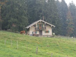 Herbstwanderung Kaeseralm (3)
