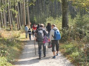 Herbstwanderung Kaeseralm (4)