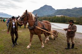 Historische-Plaettenfahrt-1520044