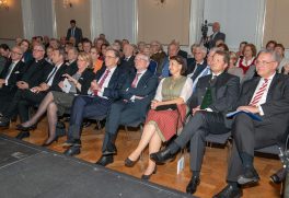 Nationalfeiertag Oesterreich (32)