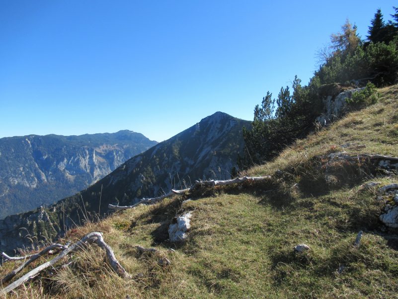 Predigtstuhl Dreisesselblick