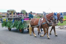 kl-20181028_133545~2