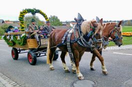 kl-20181028_133612~2