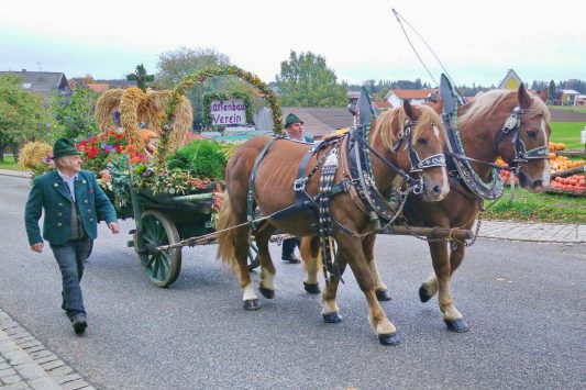 kl-20181028_133705~2