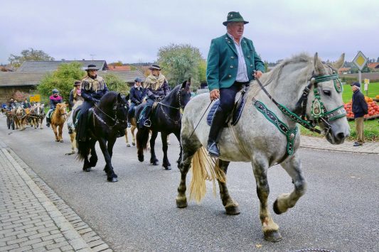 kl-20181028_133918~2