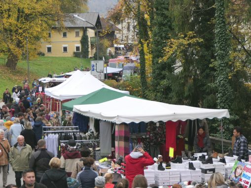 20181104_153505_resized