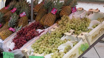 20181104_153536_resized