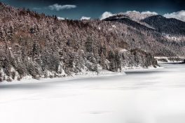 Barrier Lake IV - A - 2017 - 47 x 72 cm