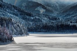 Barrier Lake VI - 2017 - 47 x 72 cm