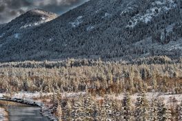 Hibernation - B - 2017 - 47 x 72 cm