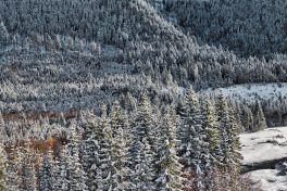 Hibernation - D - 2017 - 47 x 72 cm